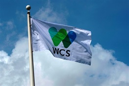 WCS Unveils Strategy and a New Website and Brand Identity to Support It